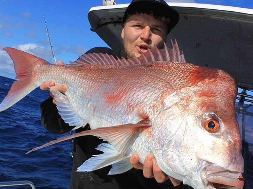 Moreton Island Fishing Charters, Brisbane, QLD