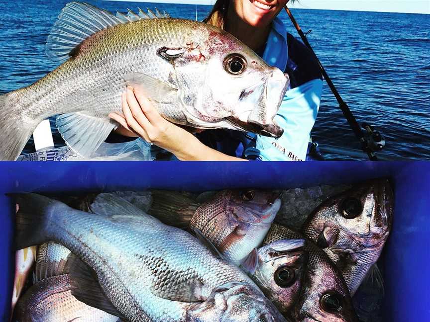 Moreton Island Fishing Charters, Brisbane, QLD