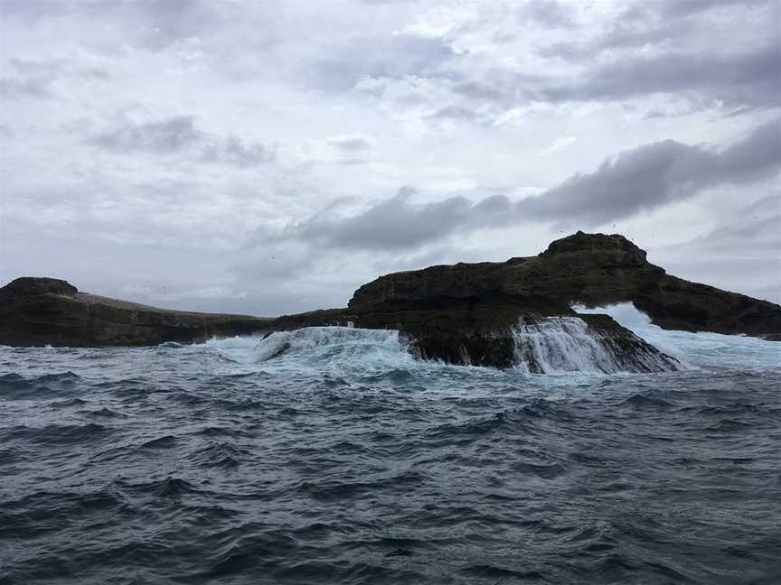 Portland Harbour Tours, Portland, VIC