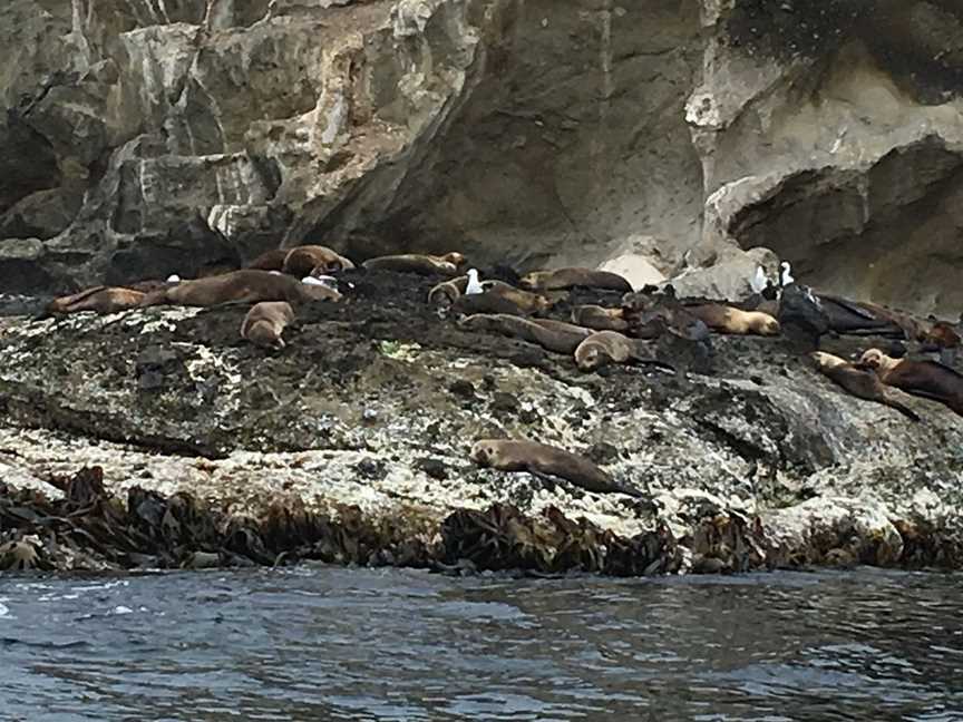 Portland Harbour Tours, Portland, VIC