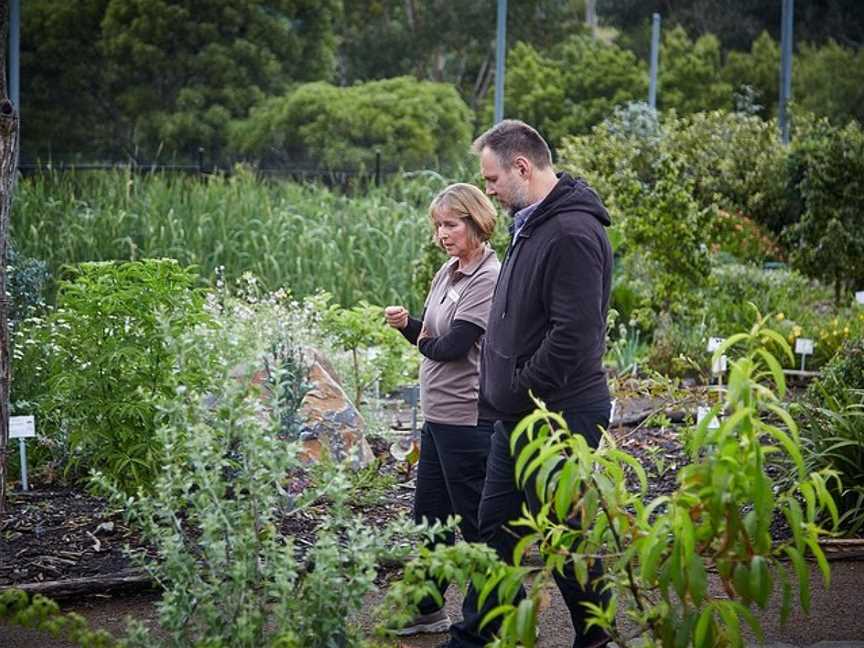 Edible Forest Yarra Valley, Dixons Creek, VIC