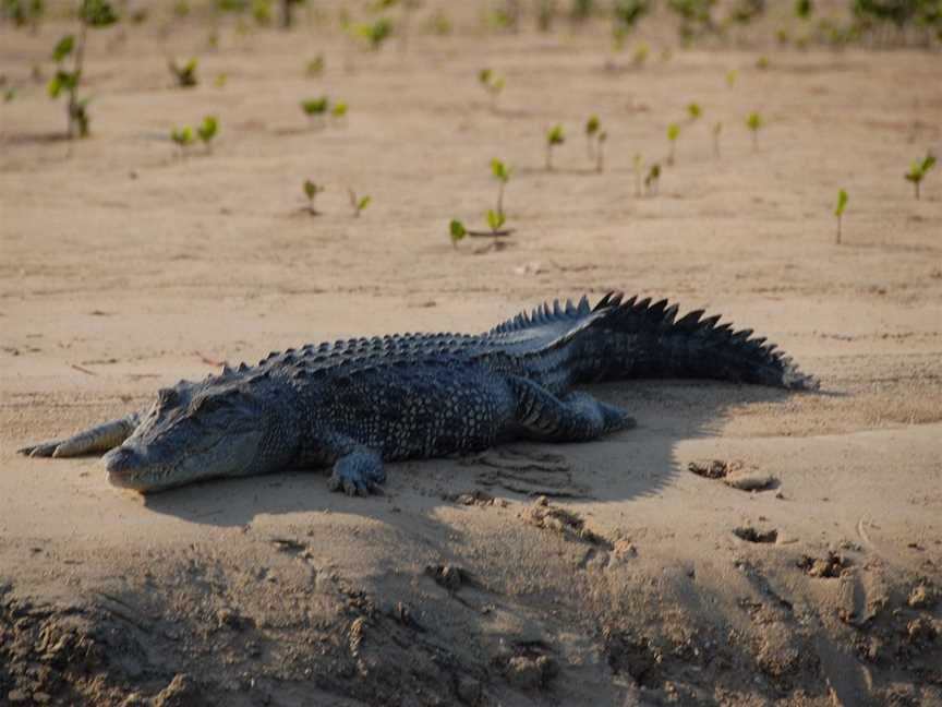 Kuri Bay Sport Fishing Tours, Broome, WA