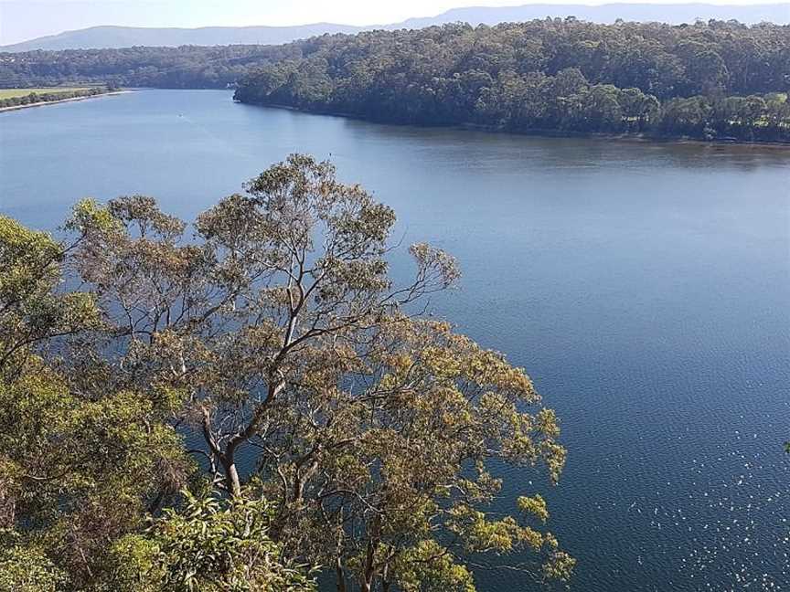 Shoalhaven River Cruise, Nowra, NSW