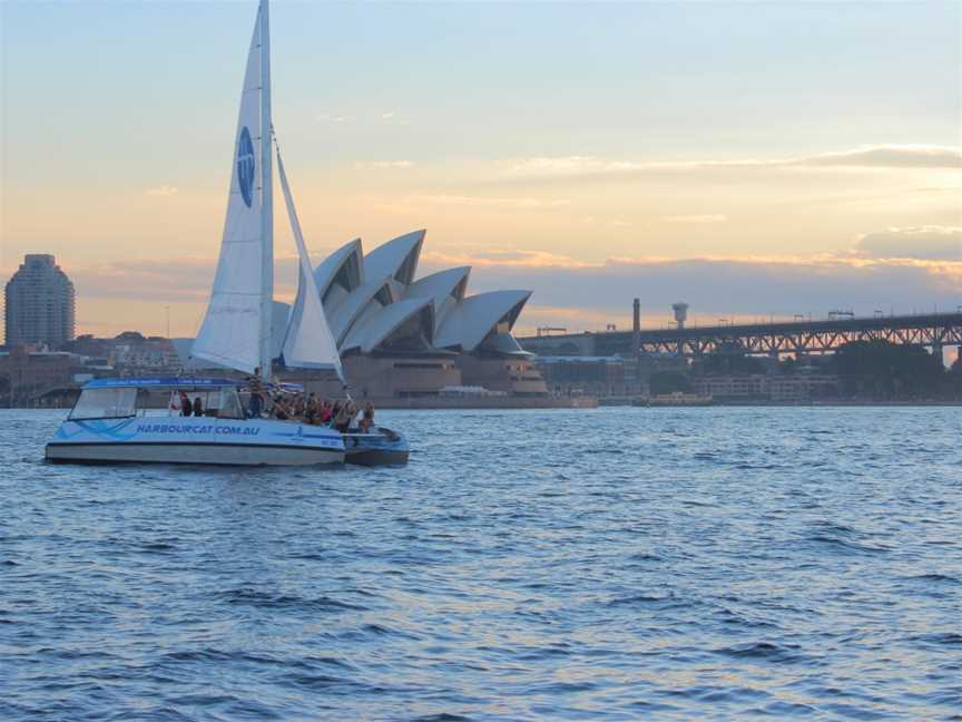 Harbourcat, Manly, NSW