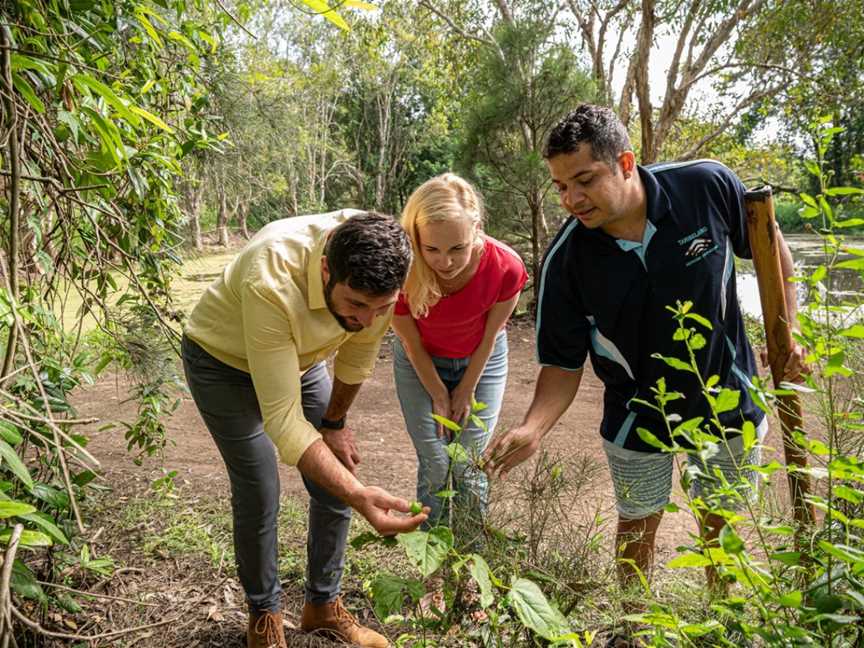 Taribelang Bunda Cultural Tours, Bundaberg, QLD