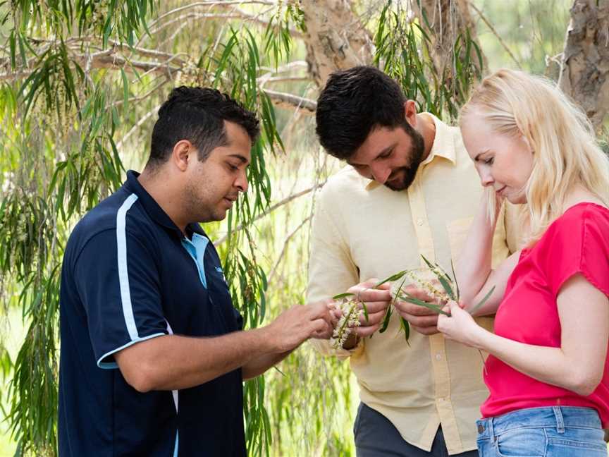 Taribelang Bunda Cultural Tours, Bundaberg, QLD