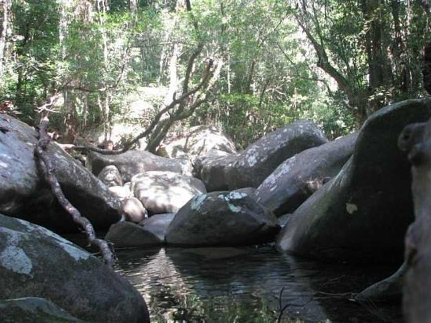 Mason's Tours, Cape Tribulation, QLD