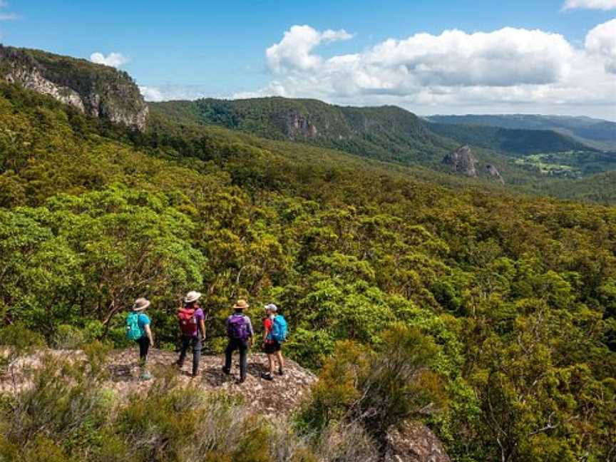 ParkTours, Beechmont, QLD