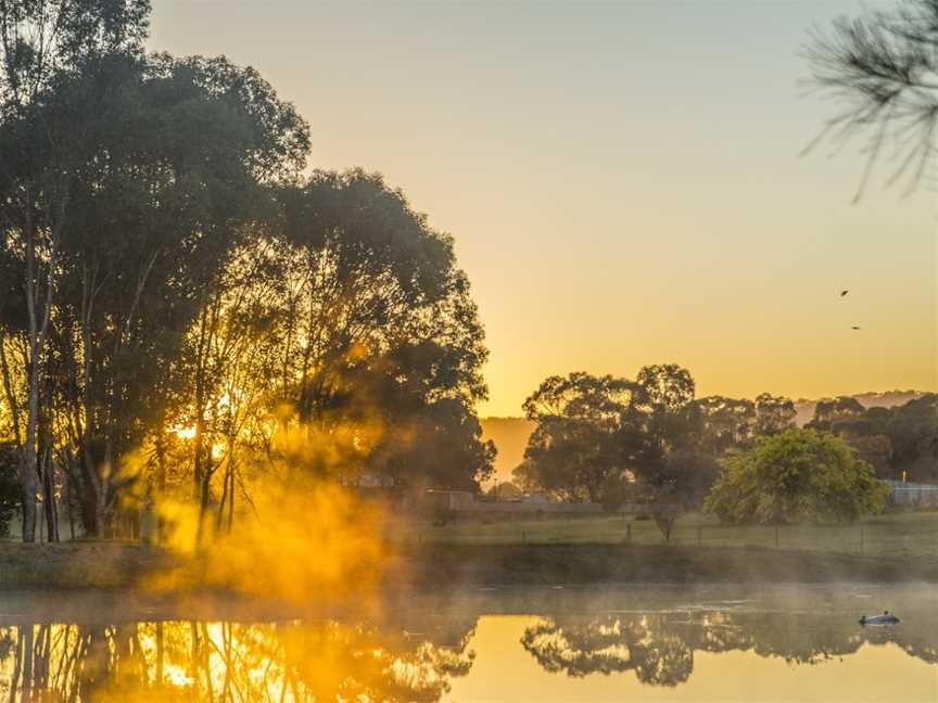 Mudgee Hopper, Mudgee, NSW