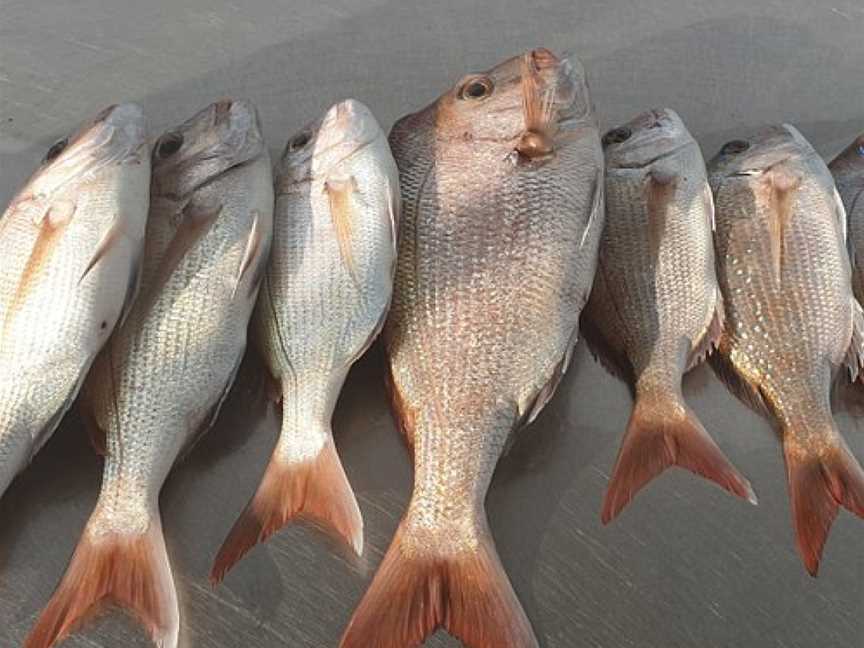 Keepin' It Reel Charters, Lakes Entrance, VIC