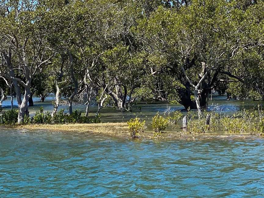 South West Rocks Estuary Charters, South West Rocks, NSW