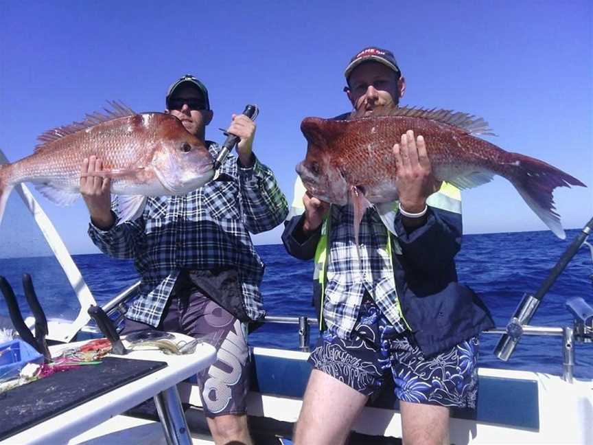 Smithys Fishing Charters, Minyama, QLD