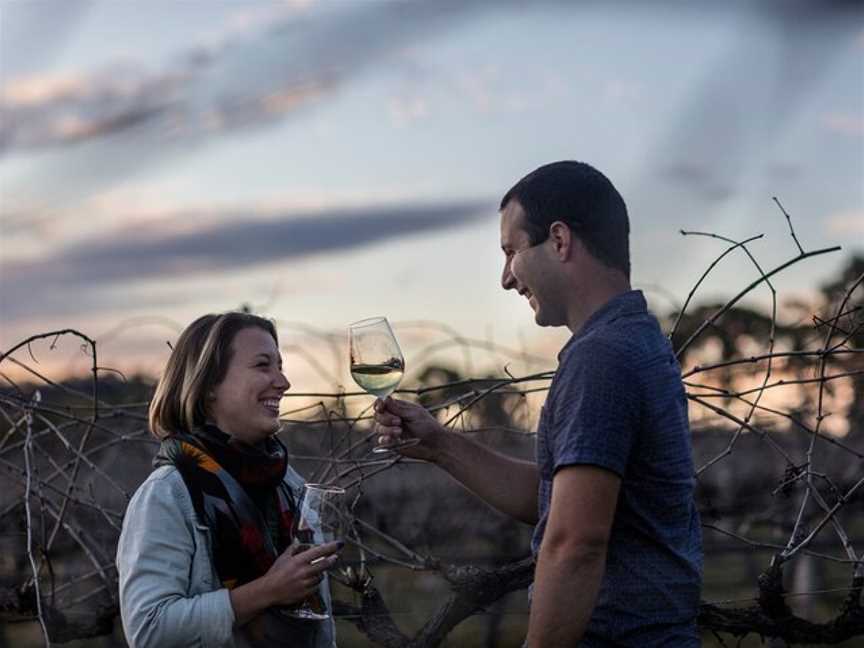 Proposal Flight to Stanthorpe