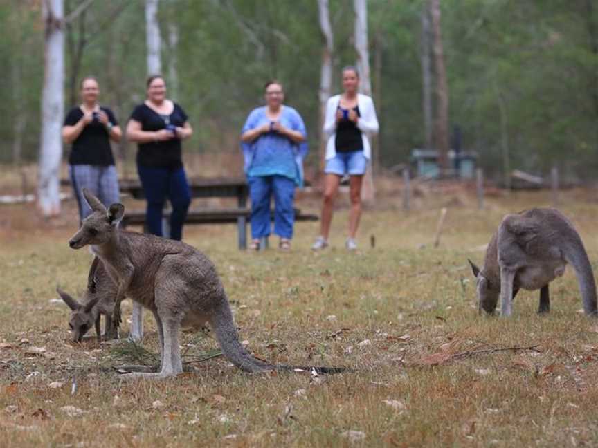 Great Camping Adventures, Mogo, NSW