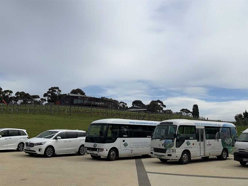 Wine Wheels, Curlewis, VIC