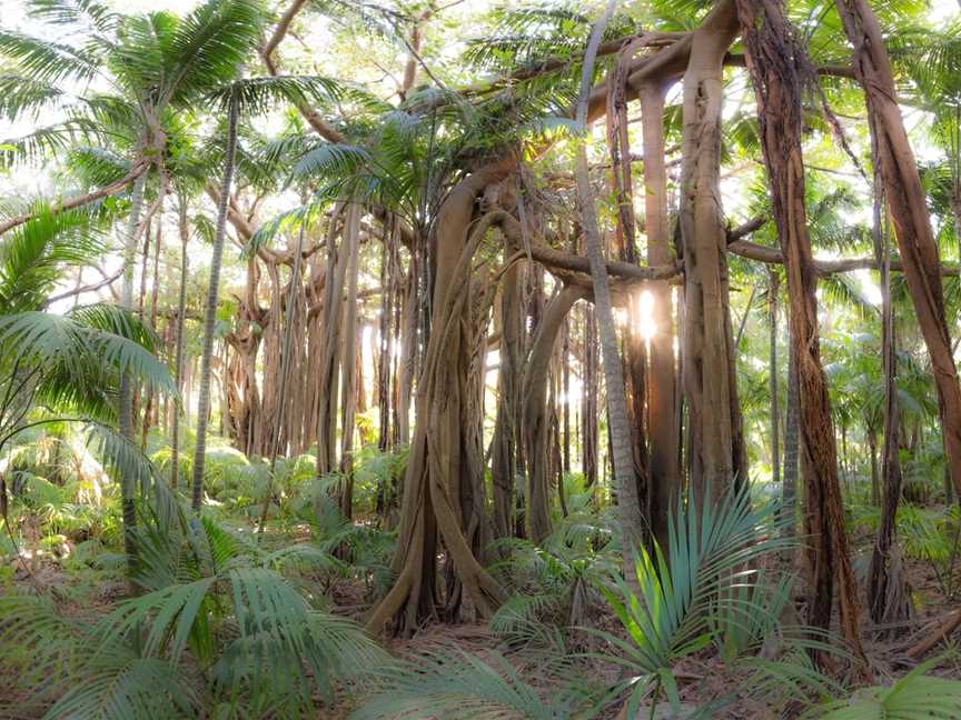 Wildside Walks, Lord Howe Island, NSW