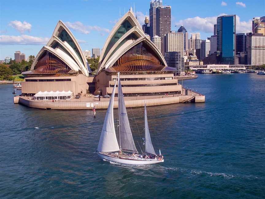 Swanning Around, Sydney, NSW