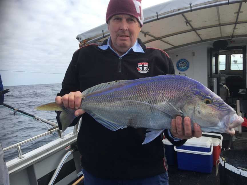 Port MacDonnell Fishing Charters, Port MacDonnell, SA