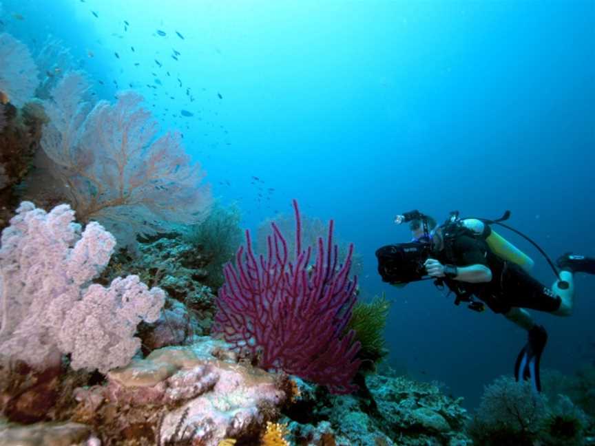 Dive Adventures, Sydney, NSW