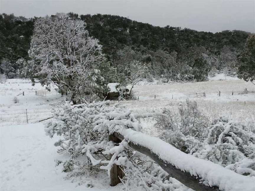 Stanthorpe Overnight Winery Tours, Stanthorpe, QLD