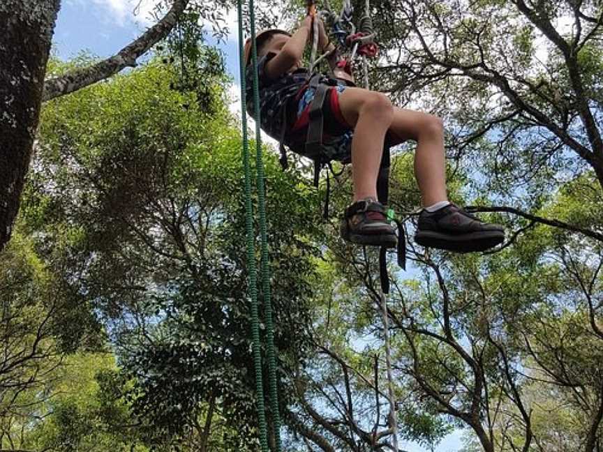 Treeco Climbing Adventures, Brunswick East, VIC