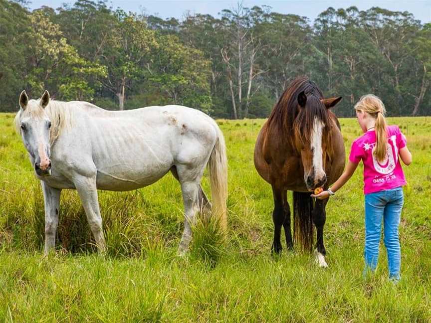 Dusty Bush Tours, Ulladulla, NSW