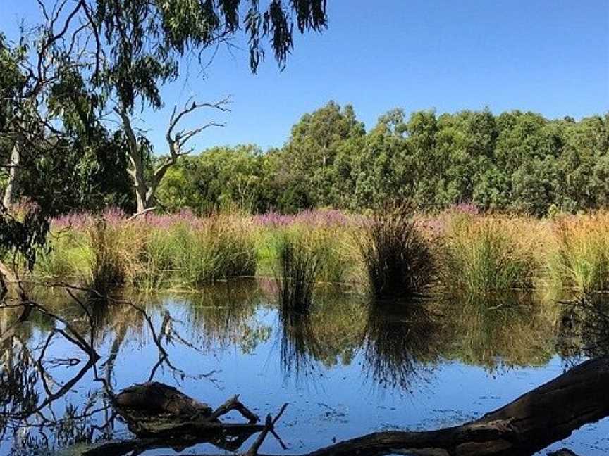 Nangak Tamboree Wildlife Sanctuary, Bundoora, VIC