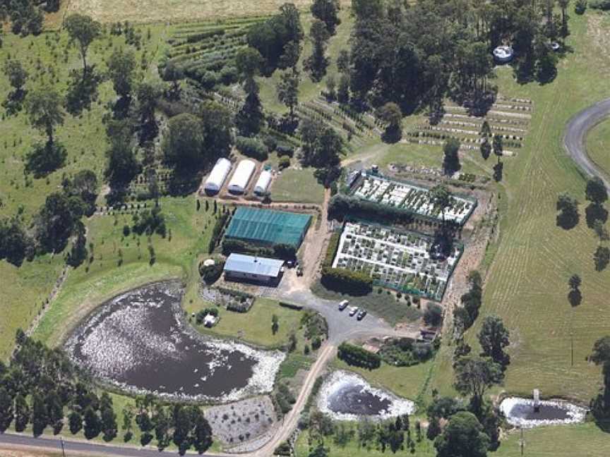 Natives 'R' Us Nursery, Traveston, QLD