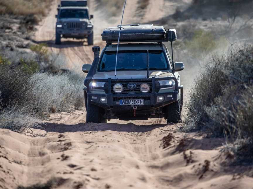 Dingo Trax, Marree, SA