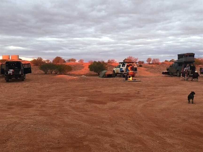 Dingo Trax, Marree, SA