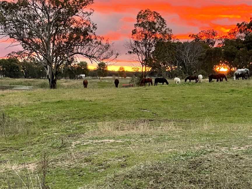 Mudgee Horse Riding Centre, Linburn, NSW