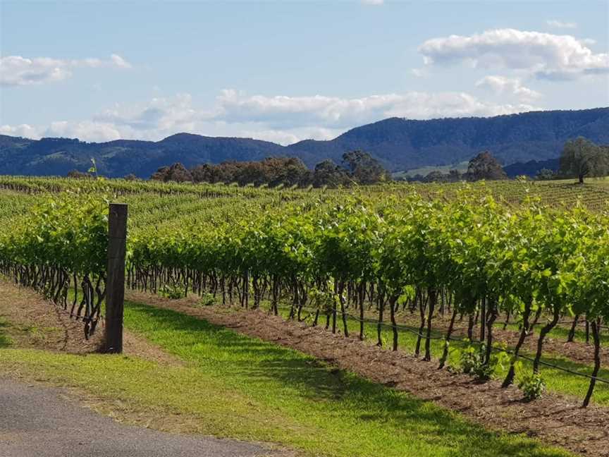 Hunter Valley Private Wine Tours & Transfers, Pokolbin, NSW