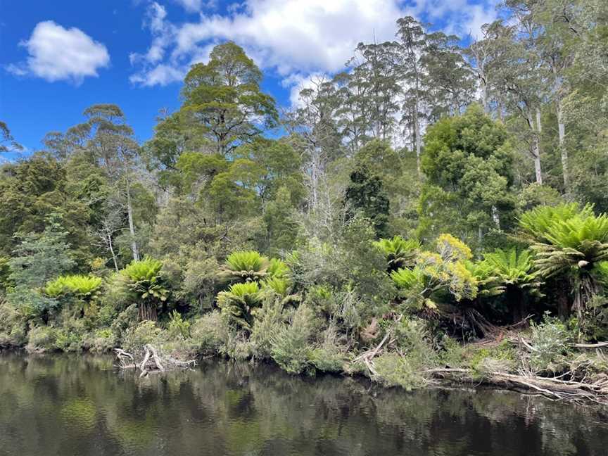 Arthur River Cruises, Arthur River, TAS