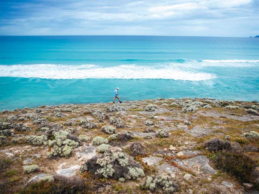 Australian Coastal Safaris, Port Lincoln, SA