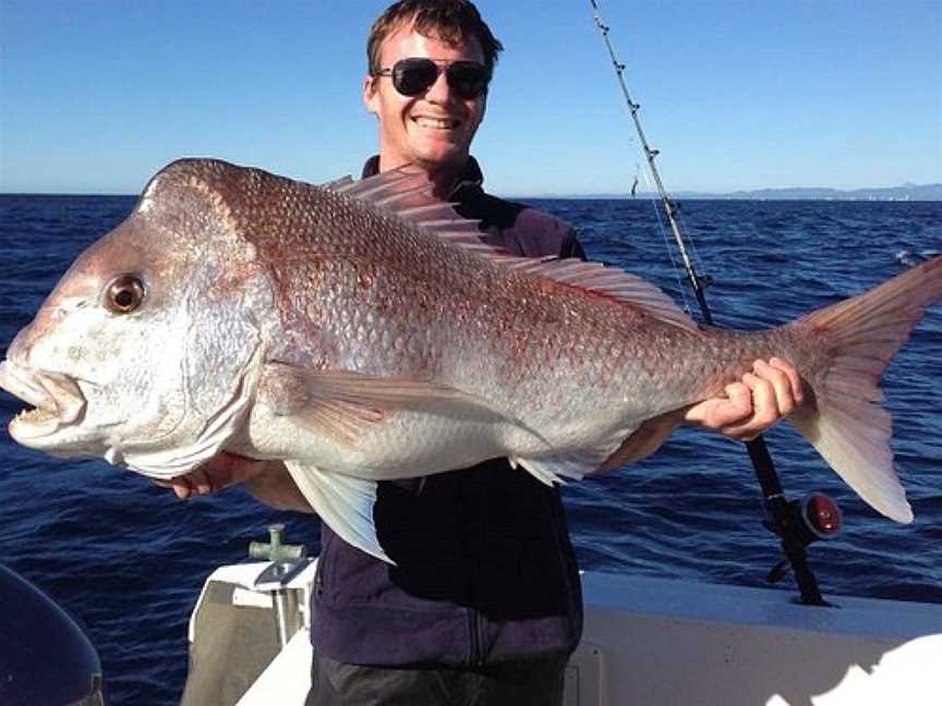 Avenger Gold Coast Fishing Charters, Main Beach, QLD