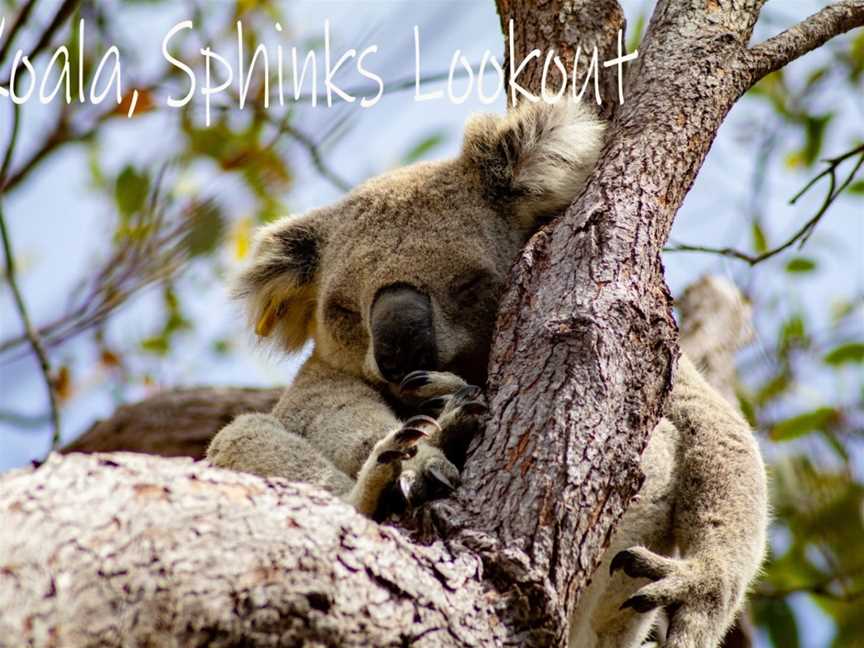 4x4 Xplore, Magnetic Island, QLD