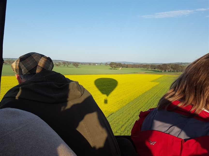 Balloon Joy Flights, Canowindra, NSW