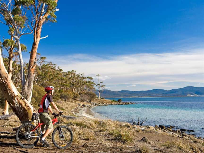 Australian Cycle Tours, Sydney, NSW