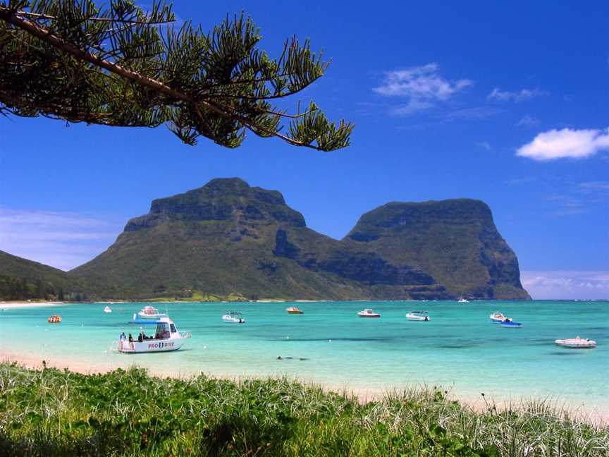 Chase ‘n’ Thyme Tours, Lord Howe Island, NSW