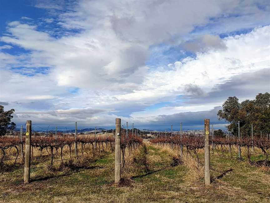 Canberra Winery Tours, Canberra, ACT