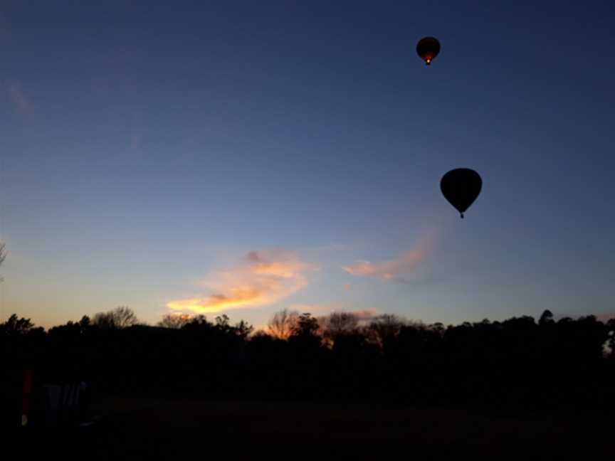 Balloon Aloft Sydney, Cessnock, NSW