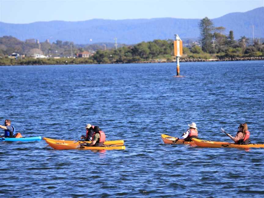 Lake Macquarie Kayak Adventures, Swansea Heads, NSW