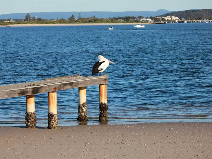 Lake Macquarie Kayak Adventures, Swansea Heads, NSW