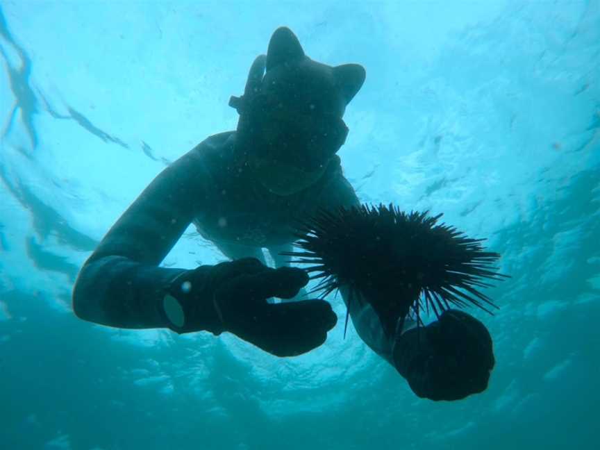 The Underwater Academy, Alexandria, NSW