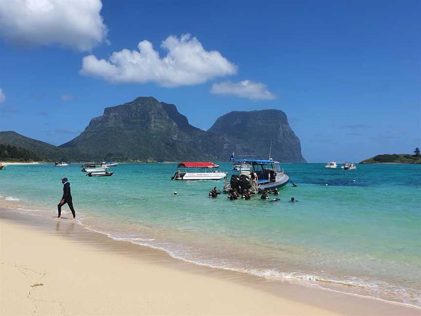 Dive Lord Howe, Lord Howe Island, NSW