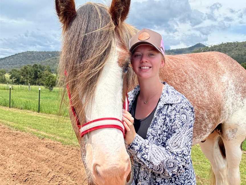 The Clydesdale Experience, Doyles Creek, NSW