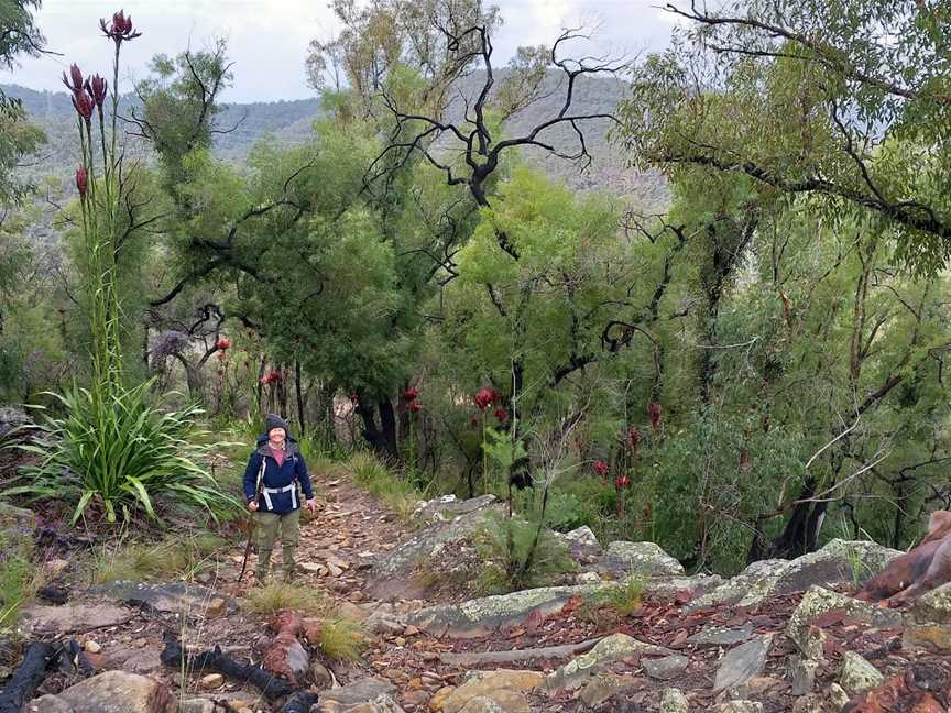 Heritage Ventures, Spencer, NSW