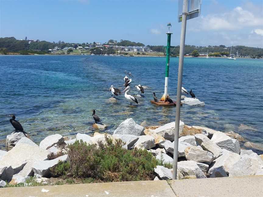 Out of the Blue Oysters, North Narooma, NSW