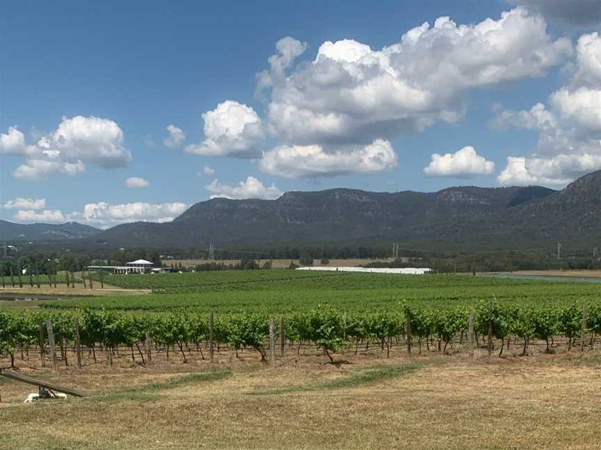 Hunter Valley Guide - Hunter Valley, Pokolbin, NSW