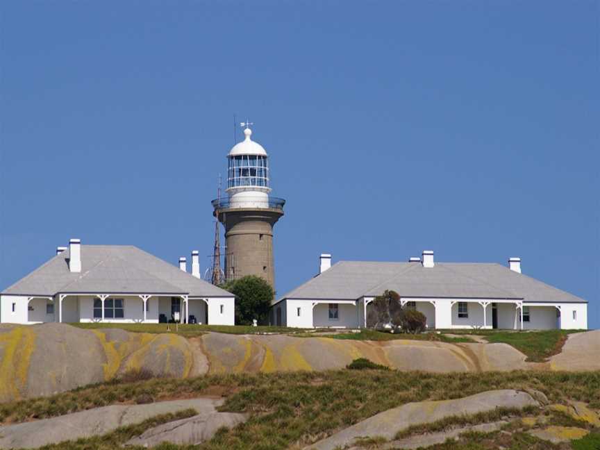 Montague Island Tours, Narooma, NSW